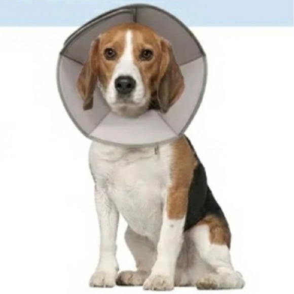 NWT Unopened Banooo soft Pet recovery cone Dog recovery cone Size Large Yellow - Picture 1 of 13